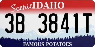 ID license plate 3B3841T