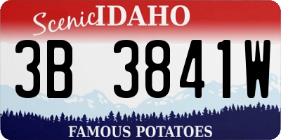 ID license plate 3B3841W