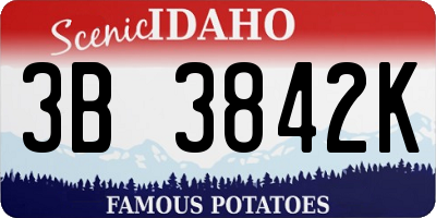 ID license plate 3B3842K