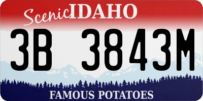 ID license plate 3B3843M