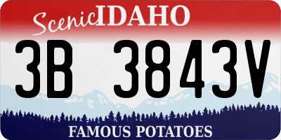 ID license plate 3B3843V