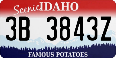 ID license plate 3B3843Z