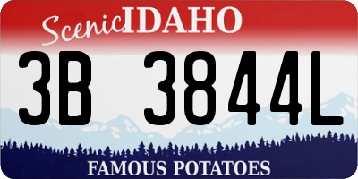 ID license plate 3B3844L