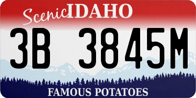 ID license plate 3B3845M