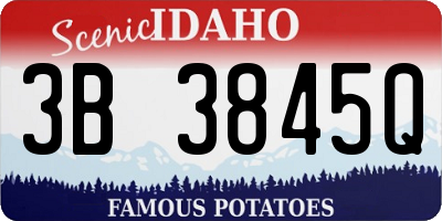 ID license plate 3B3845Q