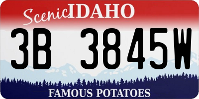 ID license plate 3B3845W