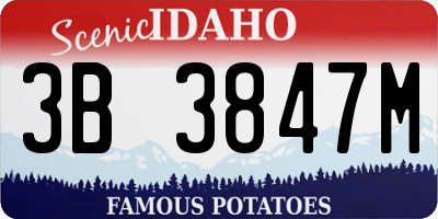 ID license plate 3B3847M