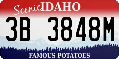 ID license plate 3B3848M