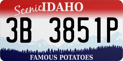 ID license plate 3B3851P