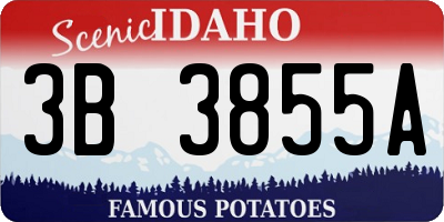 ID license plate 3B3855A