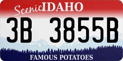 ID license plate 3B3855B