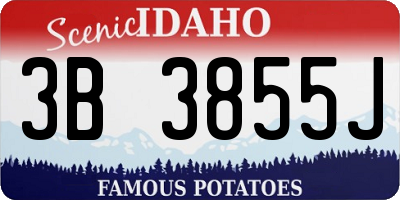 ID license plate 3B3855J