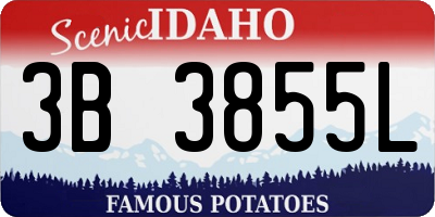 ID license plate 3B3855L