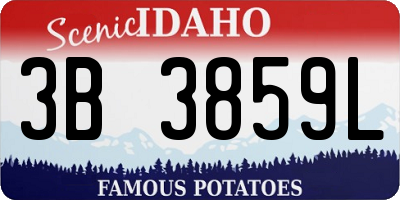 ID license plate 3B3859L