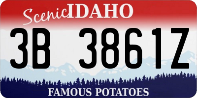 ID license plate 3B3861Z