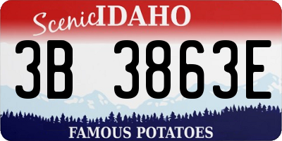 ID license plate 3B3863E