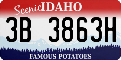 ID license plate 3B3863H