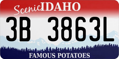 ID license plate 3B3863L