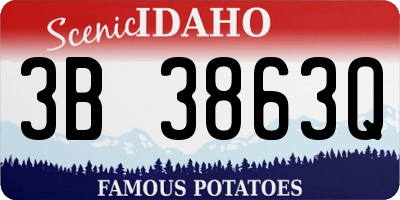 ID license plate 3B3863Q