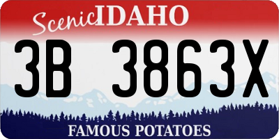 ID license plate 3B3863X