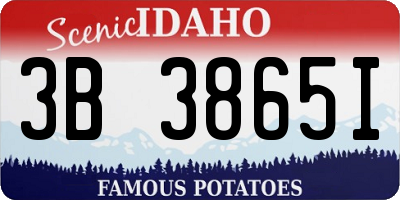 ID license plate 3B3865I