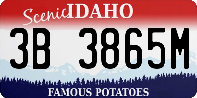 ID license plate 3B3865M