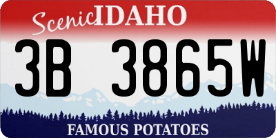 ID license plate 3B3865W