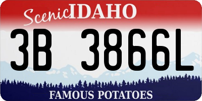 ID license plate 3B3866L