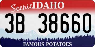 ID license plate 3B3866O