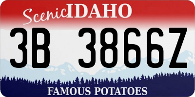 ID license plate 3B3866Z