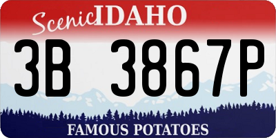 ID license plate 3B3867P