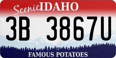ID license plate 3B3867U