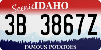 ID license plate 3B3867Z