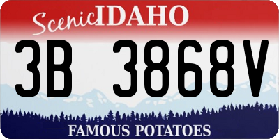 ID license plate 3B3868V