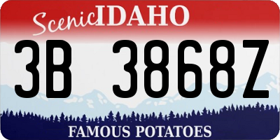 ID license plate 3B3868Z