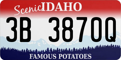 ID license plate 3B3870Q