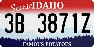 ID license plate 3B3871Z