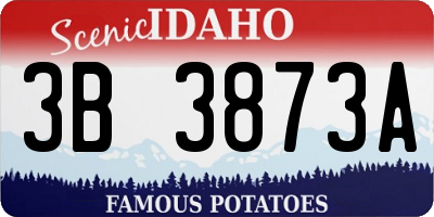 ID license plate 3B3873A