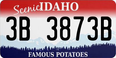 ID license plate 3B3873B