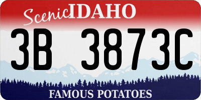 ID license plate 3B3873C