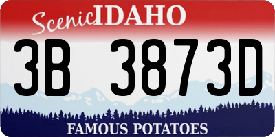 ID license plate 3B3873D