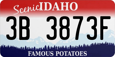 ID license plate 3B3873F