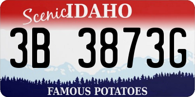 ID license plate 3B3873G