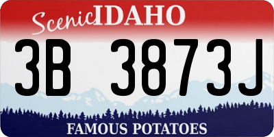 ID license plate 3B3873J