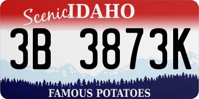 ID license plate 3B3873K