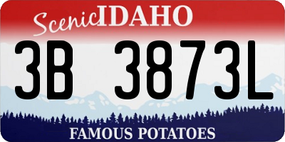 ID license plate 3B3873L