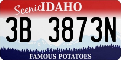 ID license plate 3B3873N