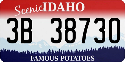 ID license plate 3B3873O