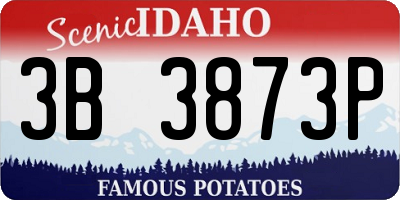 ID license plate 3B3873P
