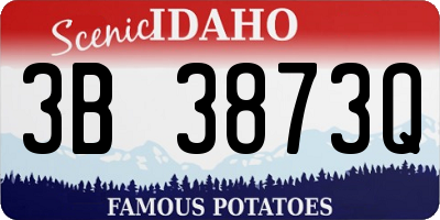 ID license plate 3B3873Q